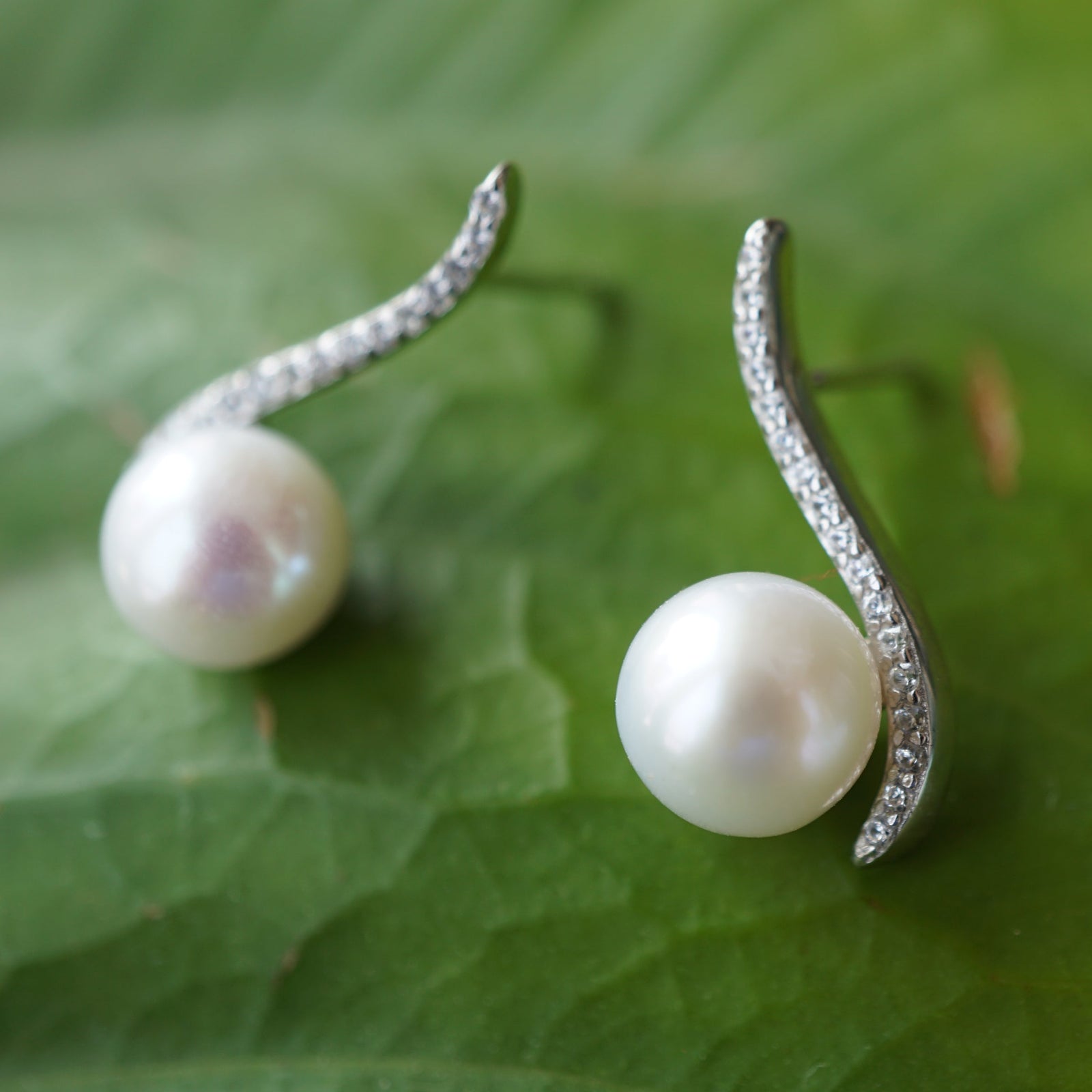 Wave 925 Silver small light luxury freshwater pearl earrings-Vsabel Jewellery